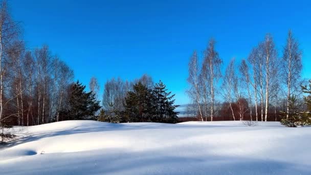 Vista Aérea Desde Dron Campiña Nevada Del Bosque Invernal Invierno — Vídeos de Stock