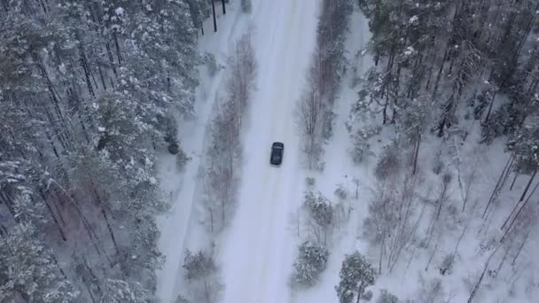 Vista Aérea Drone Carro Dirigindo Através Floresta Coberta Neve Inverno — Vídeo de Stock