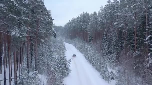 冬の雪に覆われた森の中を車の運転中のドローンからの空中ビュー 高品質4K映像 — ストック動画