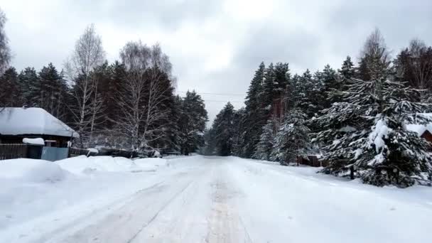 드론으로 눈덮인 소나무 공중에서 수있습니다 소나무 가지들은 서리로 고품질 — 비디오
