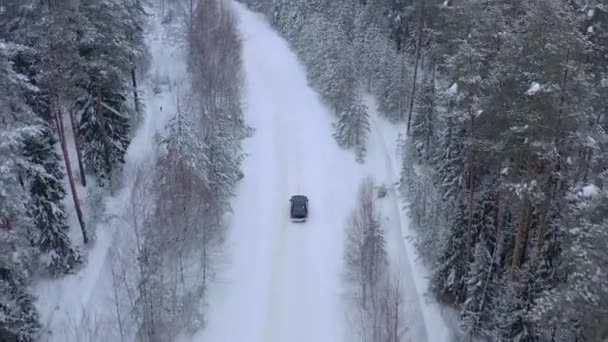Vista Aérea Drone Carro Dirigindo Através Floresta Coberta Neve Inverno — Vídeo de Stock