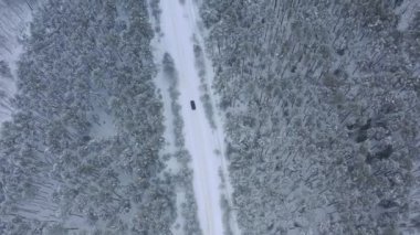 Kışın karla kaplı ormanın içinden geçen İHA 'dan arabaya hava görüntüsü. Yüksek kalite 4k görüntü