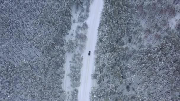 Vedere Aeriană Drone Mașina Conducere Prin Pădurea Acoperită Zăpadă Iarnă — Videoclip de stoc