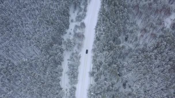 Αεροφωτογραφία Από Drone Αυτοκίνητο Οδήγηση Μέσω Χειμώνα Χιόνι Καλυμμένο Δάσος — Αρχείο Βίντεο