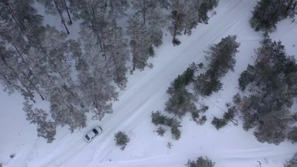 Flygfoto Från Drönare Bil Kör Genom Vintern Snötäckt Skog Högkvalitativ — Stockvideo