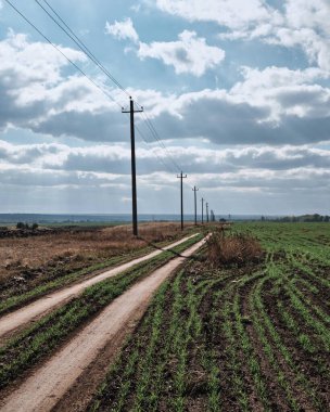 Tarladaki mesafeye giden yol