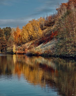 Göldeki tepedeki ağaçların yansıması