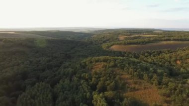 Gün batımında ormanın üzerinde uçmak