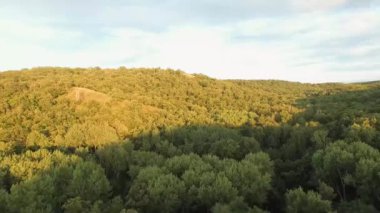 Gün batımında sık bir ormanın üzerinde uçuyor