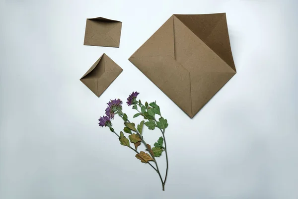 Herbarium Enveloppen Gemaakt Van Kraftpapier Witte Achtergrond — Stockfoto