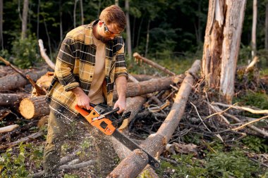 Yaz Gecesinde Ormanda Elektrikli Testere ile Çalışan Genç Erkek