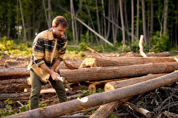 Madeira de madeira. Mãos masculinas barbudas fortes cortando o tronco com um machado, na floresta — Fotografia de Stock