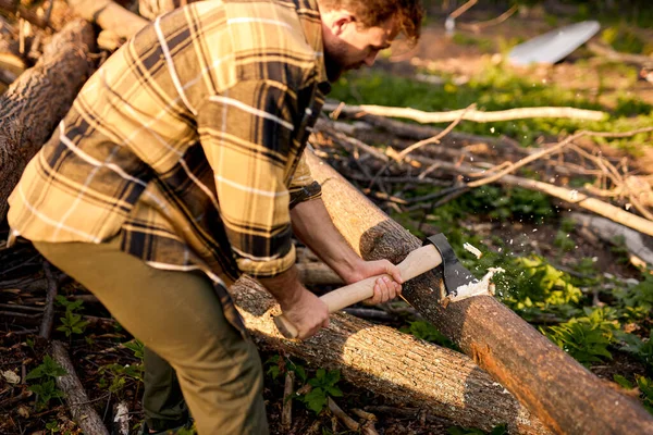 Leñador barbudo cortando árboles con hacha. Brutal leñador barbudo con hacha en el bosque —  Fotos de Stock