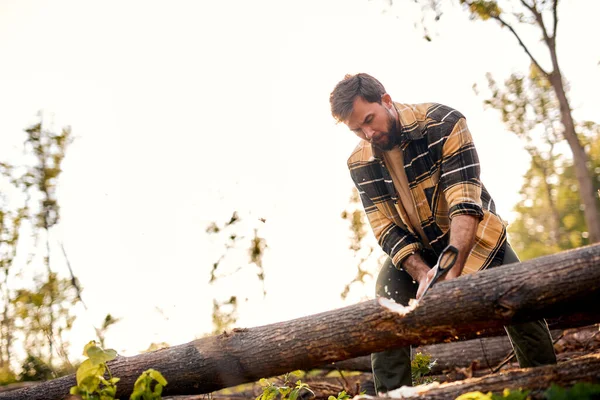 Lenhador barbudo trabalhando na floresta cortando árvores, recebendo lenha — Fotografia de Stock