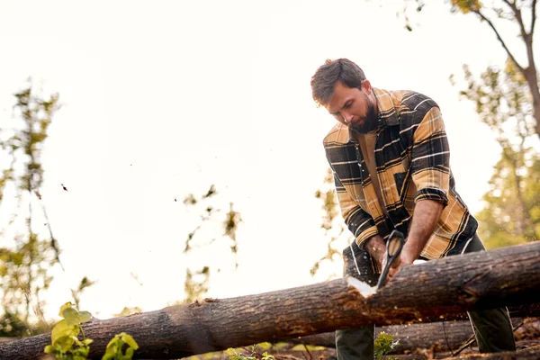 Macho sosteniendo hacha pesada. Hacha en manos de leñador cortando o cortando troncos de madera —  Fotos de Stock