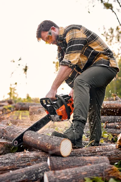 Worker cuts a felled tree trunk with chainsaw. felled tree trunk is sawn by young lumberjack — Stock Photo, Image