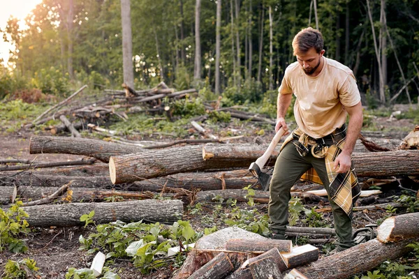Visão lateral sobre o lenhador masculino focado trabalhando com troncos cortando árvores — Fotografia de Stock
