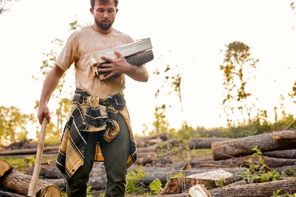 Hombre barbudo guapo en ropa casual trabajando en el bosque, cortando árboles —  Fotos de Stock
