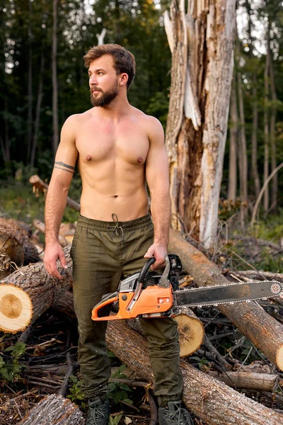 Chainsaw. sexy shirtless woodcutter working sawing tree with chainsaw, posing — Stock Photo, Image
