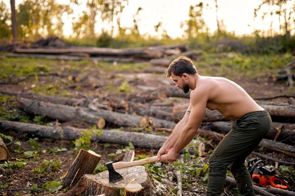 Shirtless Man usa l'ascia per rompere il legno. Preparazione di legna per accendere un fuoco — Foto Stock