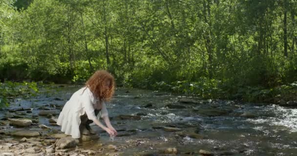 Widok z boku na rudą kręconą samicę dotykającą wody, rozpryskującą ją, odpoczywającą — Wideo stockowe
