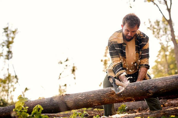 Fuerte trabajador maderero corta árboles en el bosque usando Ax, poderoso leñador en camisa casual — Foto de Stock