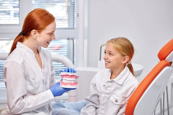 Çene yapısı olan stomatolog, diş sağlığı kliniğinde sağlık hizmetlerinden bahsediyor