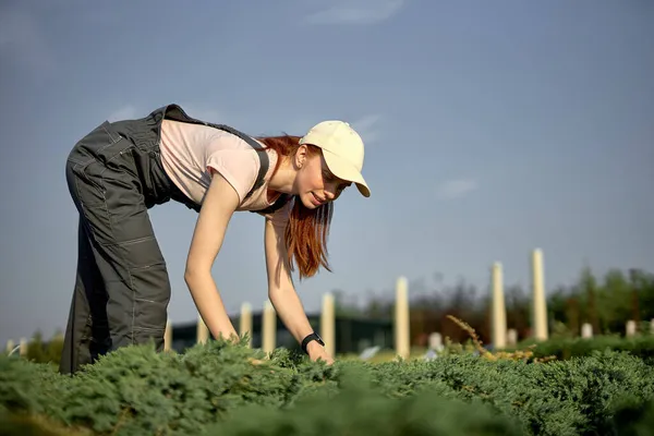 大人redhead女性で作業制服エプロンチェック緑芽で現代温室 — ストック写真