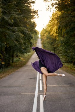 Ormanda Dans Eden Modern Caz Bale Topluluğu. Pointe Ayakkabı Dansçısı Egzersizi