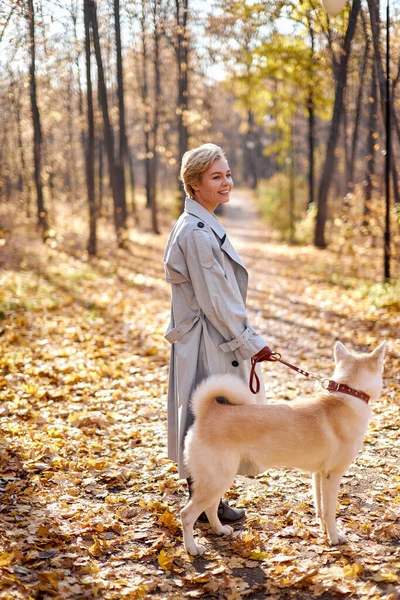 Adorable dama con mascota perro akita inu posando fuera, caminando en parque o bosque — Foto de Stock