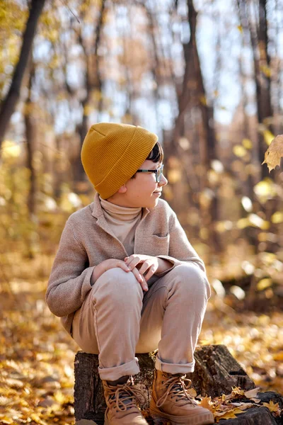 Kleiner Junge in warmer Kleidung sitzt auf Baumstumpf im herbstlichen Wald, genießt einen sonnigen Tag — Stockfoto