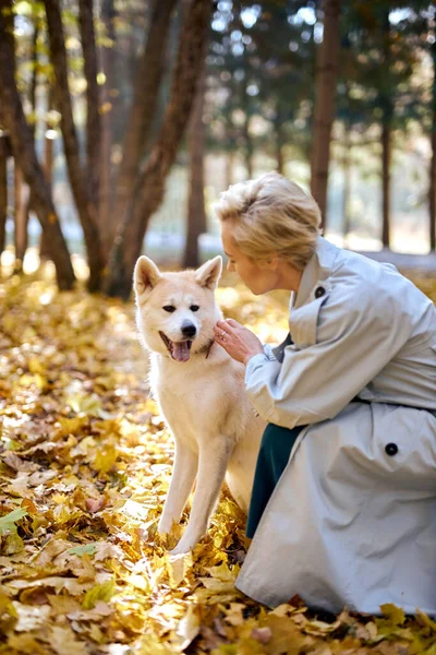 Mulher feliz brincando com o grande cão branco akita inu na floresta de outono ou parque — Fotografia de Stock