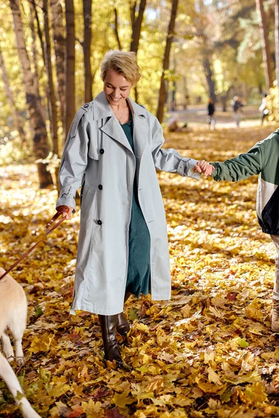 Glückliche Familie mit Hund spazieren im Park zusammen. Familien-, Freizeit- und Personenkonzept — Stockfoto