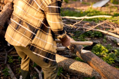Güçlü oduncu ormanda balta kullanarak ağaç kesiyor. Sıradan gömlekli güçlü bir oduncu.