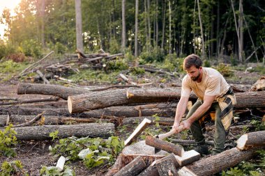 Ağır balta tutan adam. Oduncu ellerindeki balta ağaç gövdelerini kesiyor ya da kesiyor.