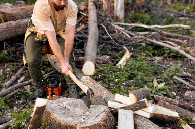 Sıradan gömlekli oduncu ormanın derinliklerinde ağacı keskin baltayla kesiyor.