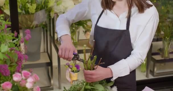 Hezká fena tvořící atraktivní kytici, stříhající konce květin, pečující — Stock video