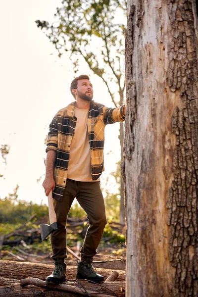 Llogger moderno. Lumberjack carrega machado, fica à beira da árvore. sexy cara no xadrez camisa no floresta — Fotografia de Stock