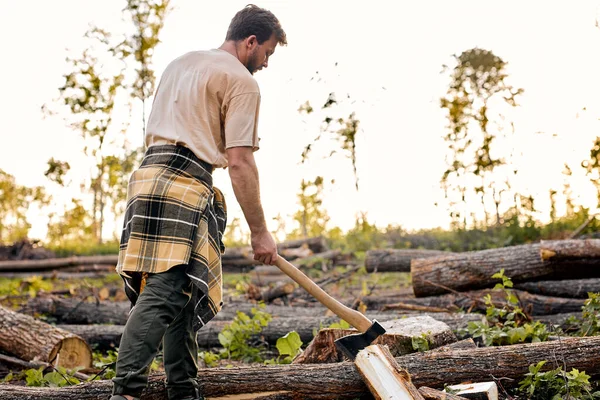 Jovem barbudo masculino em desgaste casual trabalhando na floresta, cortando árvores na temporada de verão — Fotografia de Stock