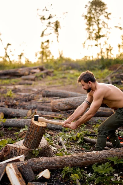 Estação madeireira. O lenhador usa machado na floresta. Registro florestal. Corte de madeira. — Fotografia de Stock