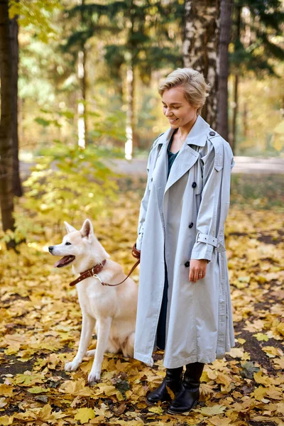 Atractiva mujer caucásica en abrigo caminando con akita inu perro en el bosque en el tiempo de otoño —  Fotos de Stock
