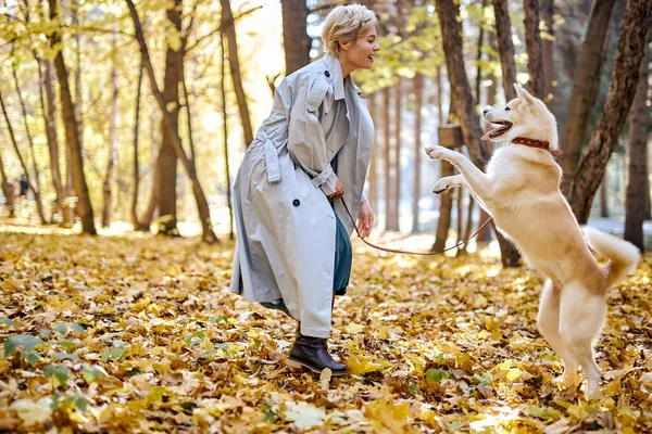 Happy woman playing with pet dog in park, during leaf fall. at sunny day in autumn — Stock Photo, Image