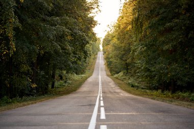Yaz ormanlarında gün batımında yol. Güzel yollar, yeşil yapraklı ağaçlar ve güneş ışığı..