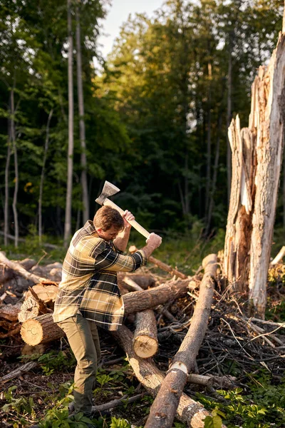 Hardworking logger worker cuts tree in forest using Ax, powerful lumberjack in casual shirt — Stock Photo, Image