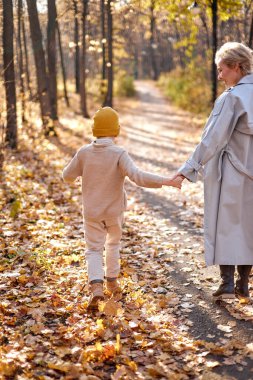 Ailece ormanda ya da parkta yürüyüş yapmak, eğlenmek, gülmek.
