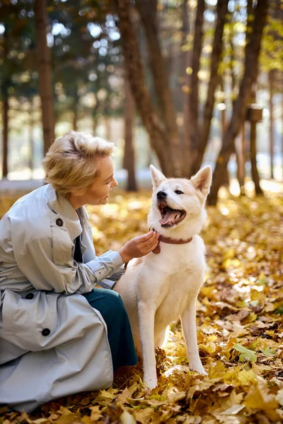 Mulher bonita loira no casaco passar o tempo no parque de outono com cão de estimação, no dia ensolarado — Fotografia de Stock