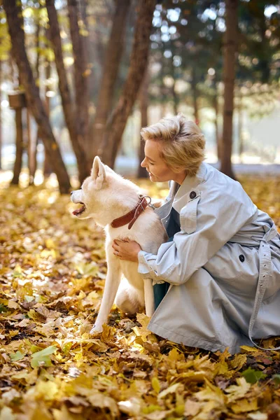 Donna felice che gioca con il grande cane bianco akita inu nella foresta o nel parco autunnale — Foto Stock