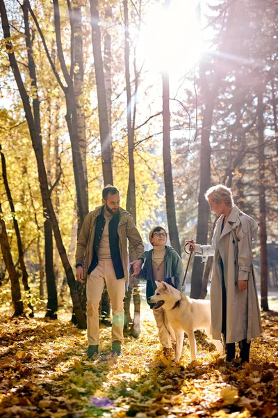 Fröhlicher kleiner Junge spaziert mit Haustier, Mutter und Vater gemeinsam im Herbstpark. — Stockfoto