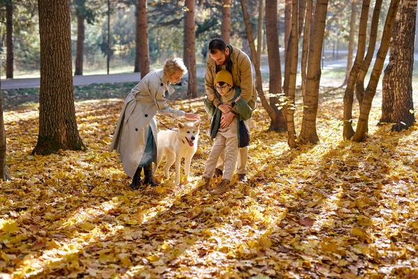Família agradável com cão na caminhada no parque de outono. conceito de família, animal de estimação, animal doméstico e pessoas. — Fotografia de Stock