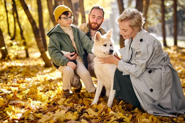 Boa família amigável se divertindo, brincando com o cão de estimação. relaxado homem, mulher e menino menino — Fotografia de Stock